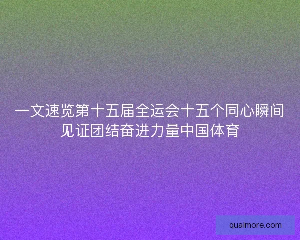 一文速览第十五届全运会十五个同心瞬间见证团结奋进力量中国体育